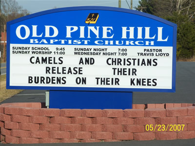 Old Pine Hill